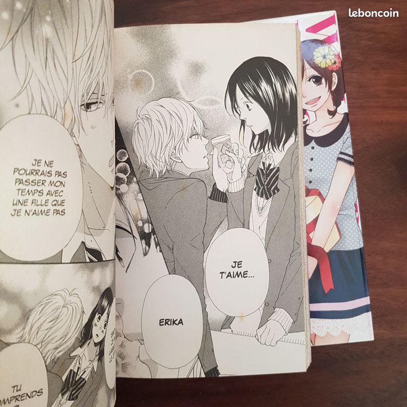 MANGA / Wolf Girl & Black Prince 🐺 Tomes 1 à 14, vente à l'unité (image 12)