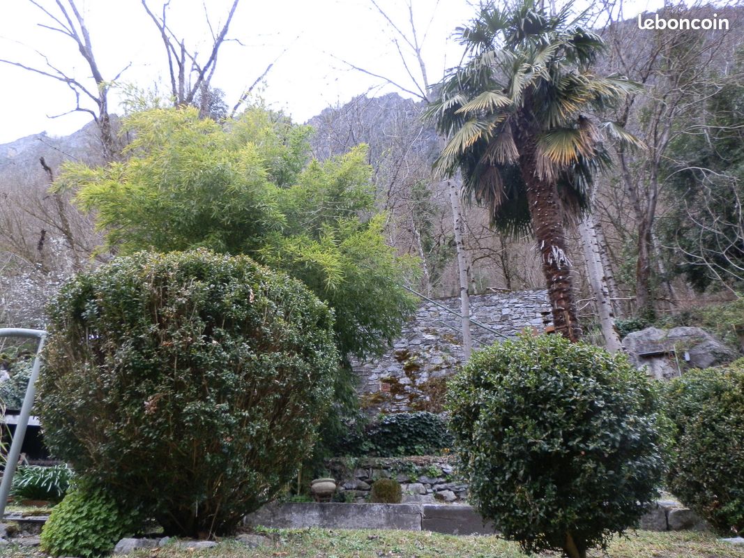 Maison de caractère avec jardin + gite (image 2)