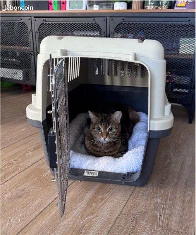 Caisse chat ou chien (image 1)
