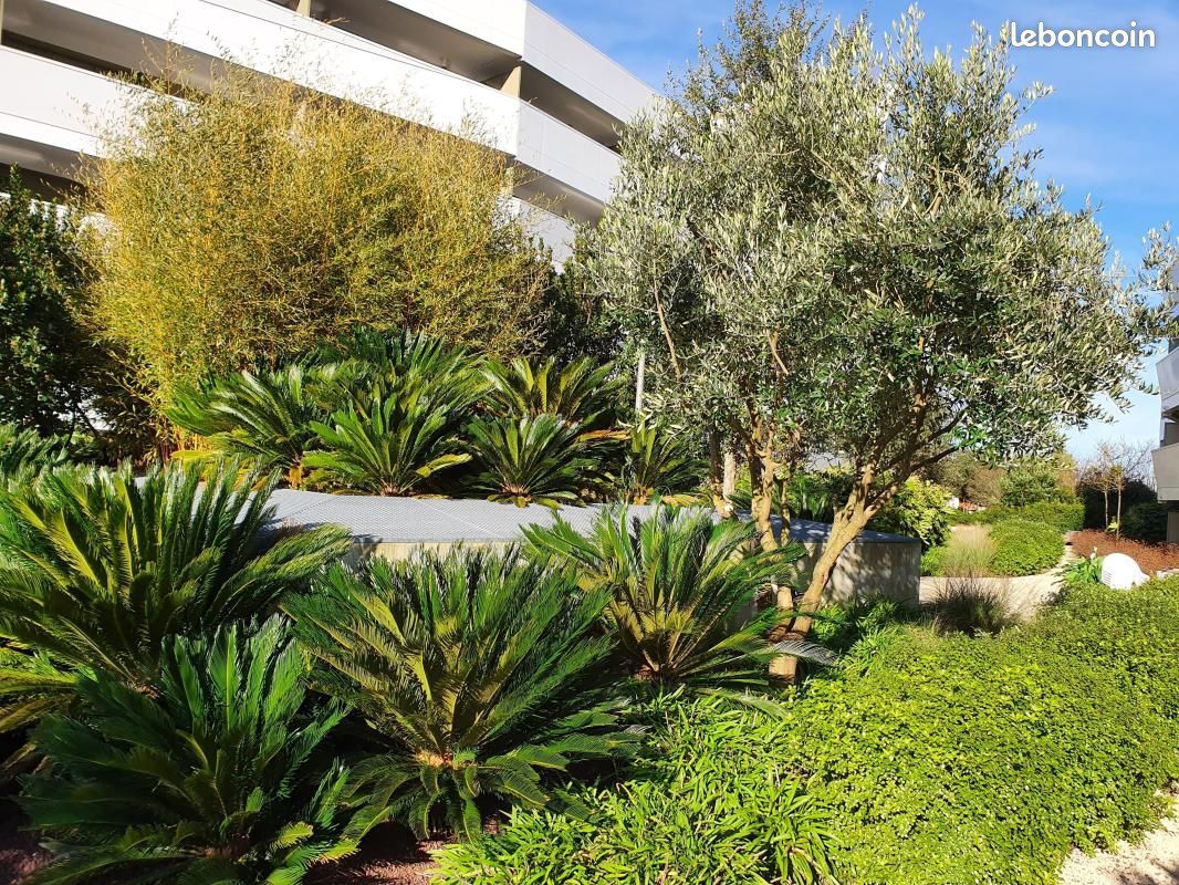 Appartement 3 pièces 61 m² · à Anglet · 61 m² · 327 000 €