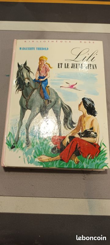 Lili et le jeune gitan (image 1)