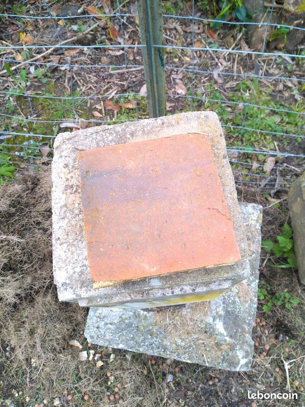 Pavé en terre cuite (image 1)