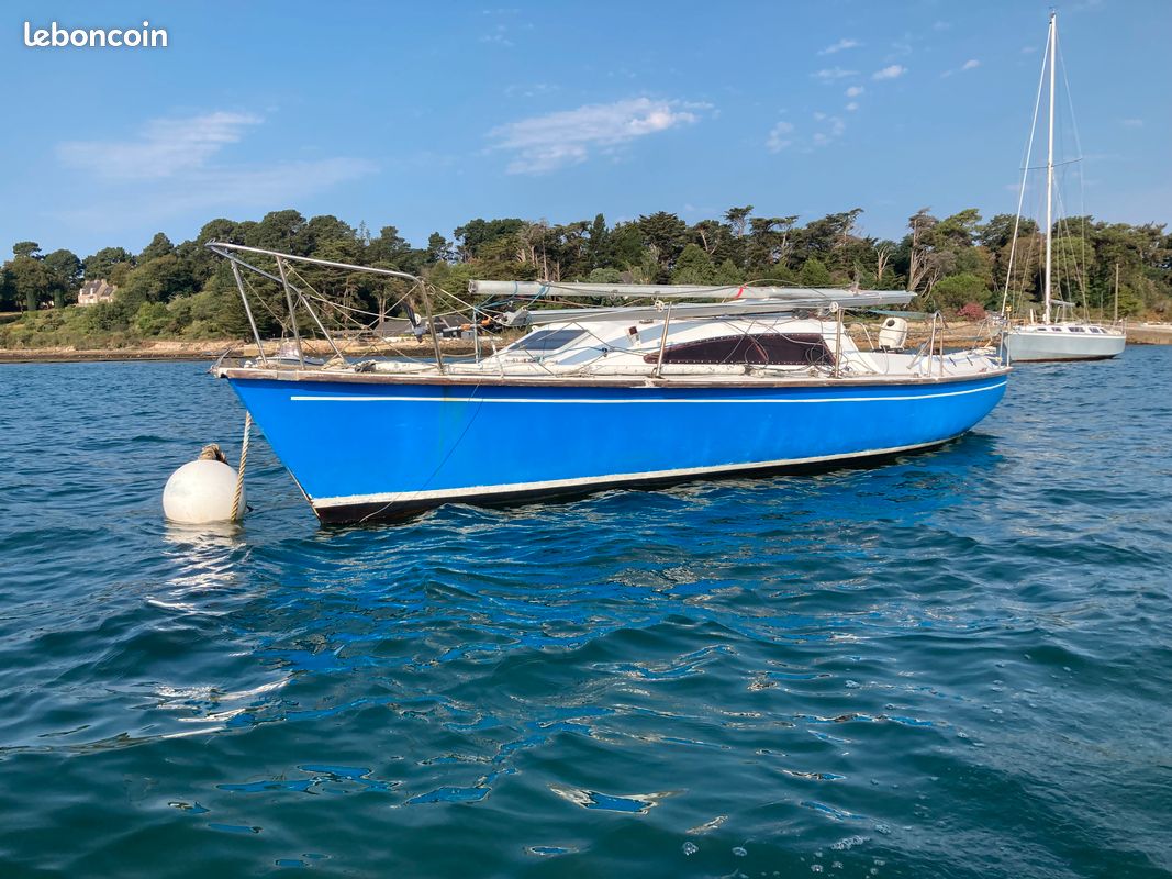 Surprise Export D.L. — Vedi foto 1