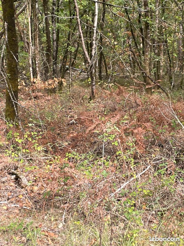 Terrain proche centre · à Ambarès-Et-Lagrave · 103 000 €