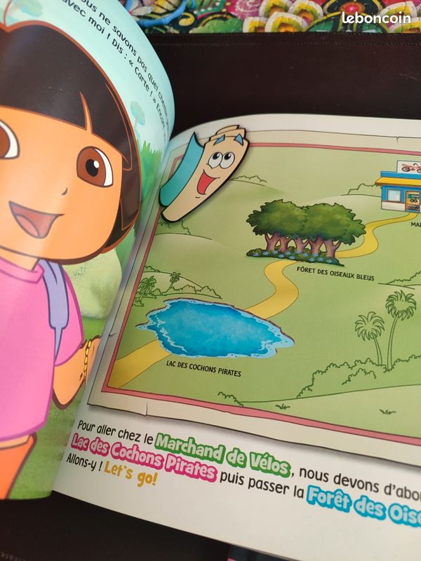Lot livre Dora (image 4)
