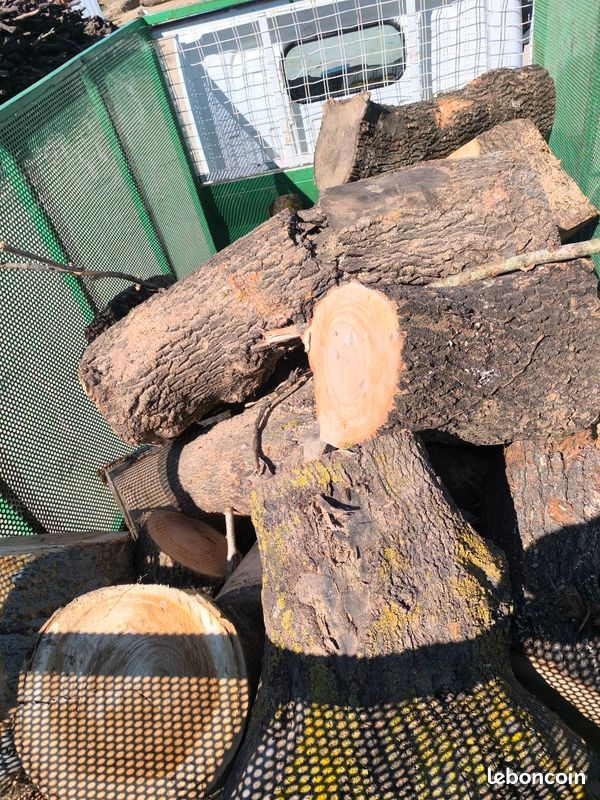 Bois de chauffage déclassé/ pièges de bois (image 3)