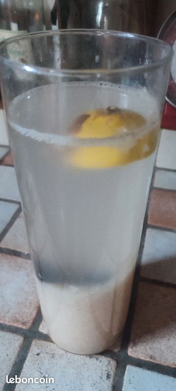 Grain de Keffir (image 2)