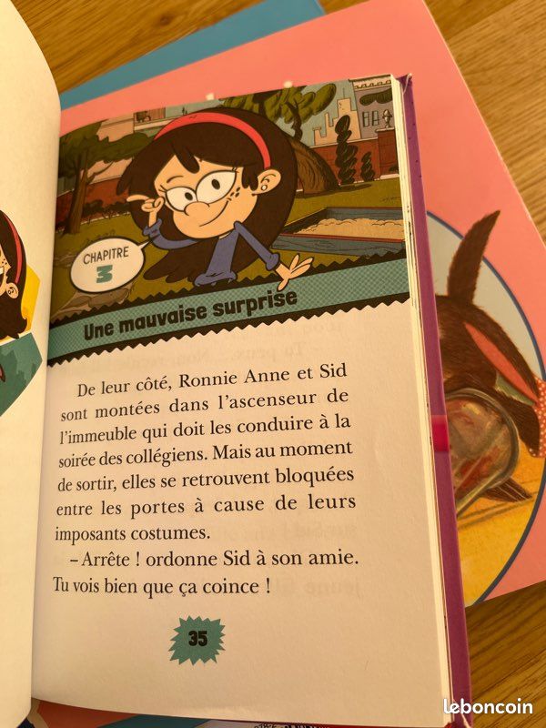Bibliothèque rose casa grandes (image 4)