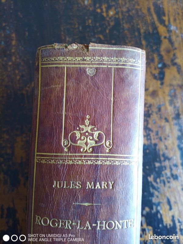 Jules Mary - Roger la Honte - reliure d'art signée Guétant Louis - gros volume (image 5)