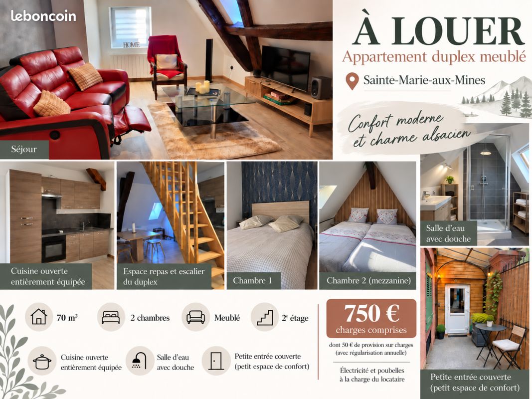 Duplex meublé (image 1)