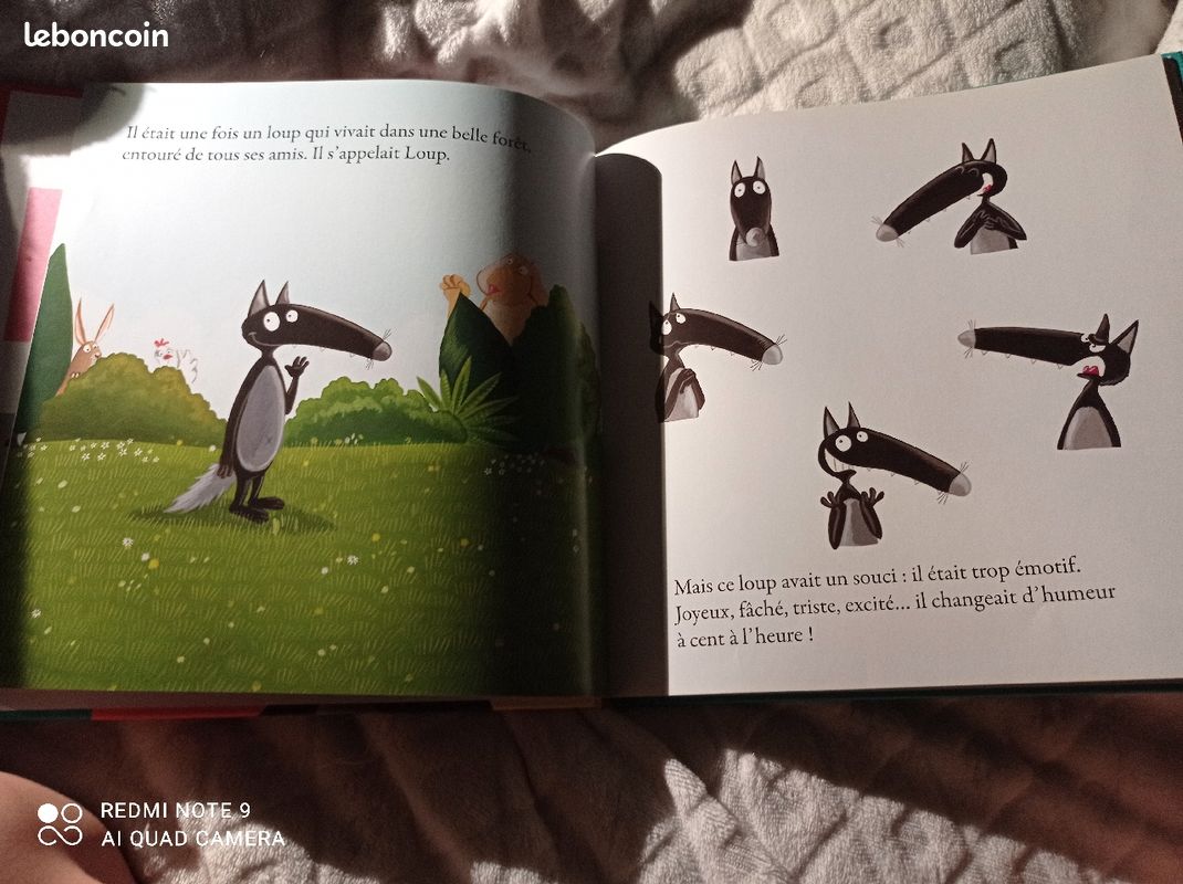 Livre loup rigolo (image 3)
