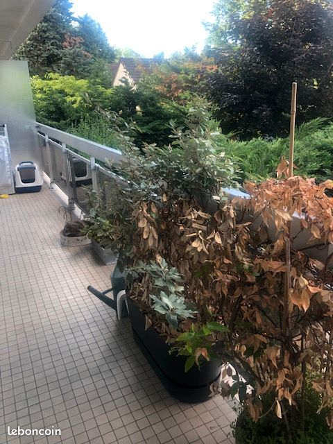 Appartement a louer montmorency - 2 pièce(s) - 60 m2 - Surfyn