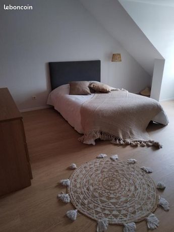 Chambre 1 pièce 18 m²