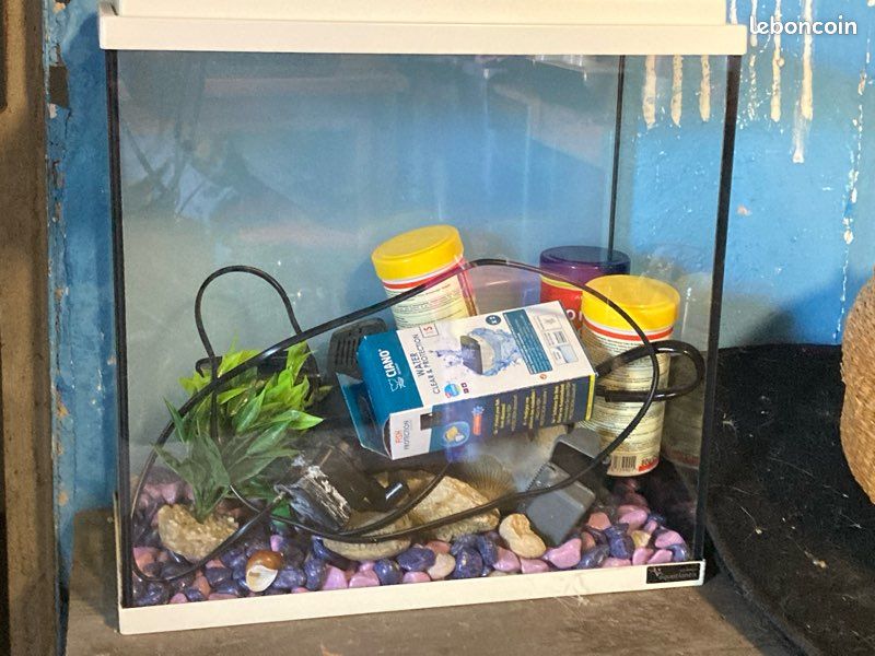 Aquarium (image 1)