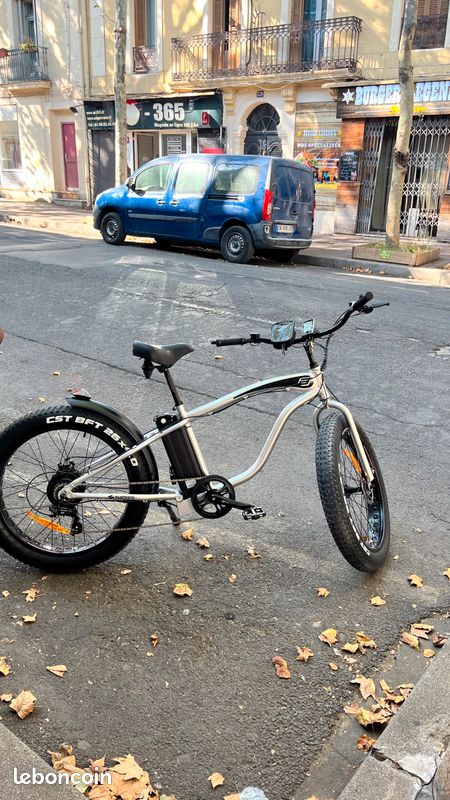 Le vélo électrique (image 2)