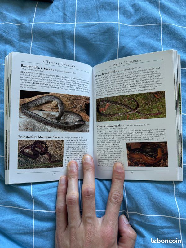 Guide serpents d’Asie (image 2)
