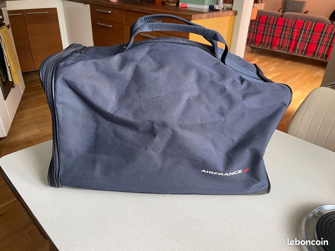 Norme Iata Sac Transport Chat Air France Homologué Avion Sac