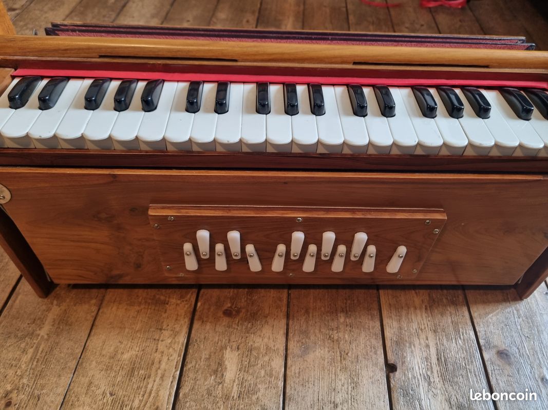 Shruti Box + Harmonium hybride (image 1)