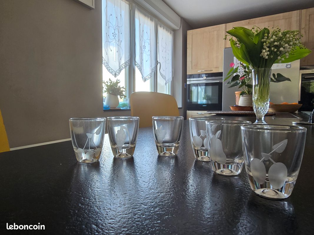 Lot de 6 mini verres gravés à liqueur/shot (image 2)