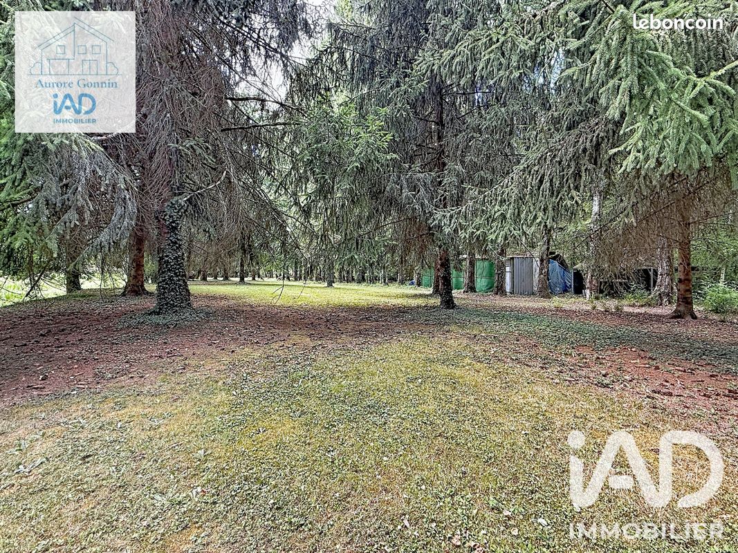 Terrain 21837 m² Chantenay-saint-imbert (image 11)
