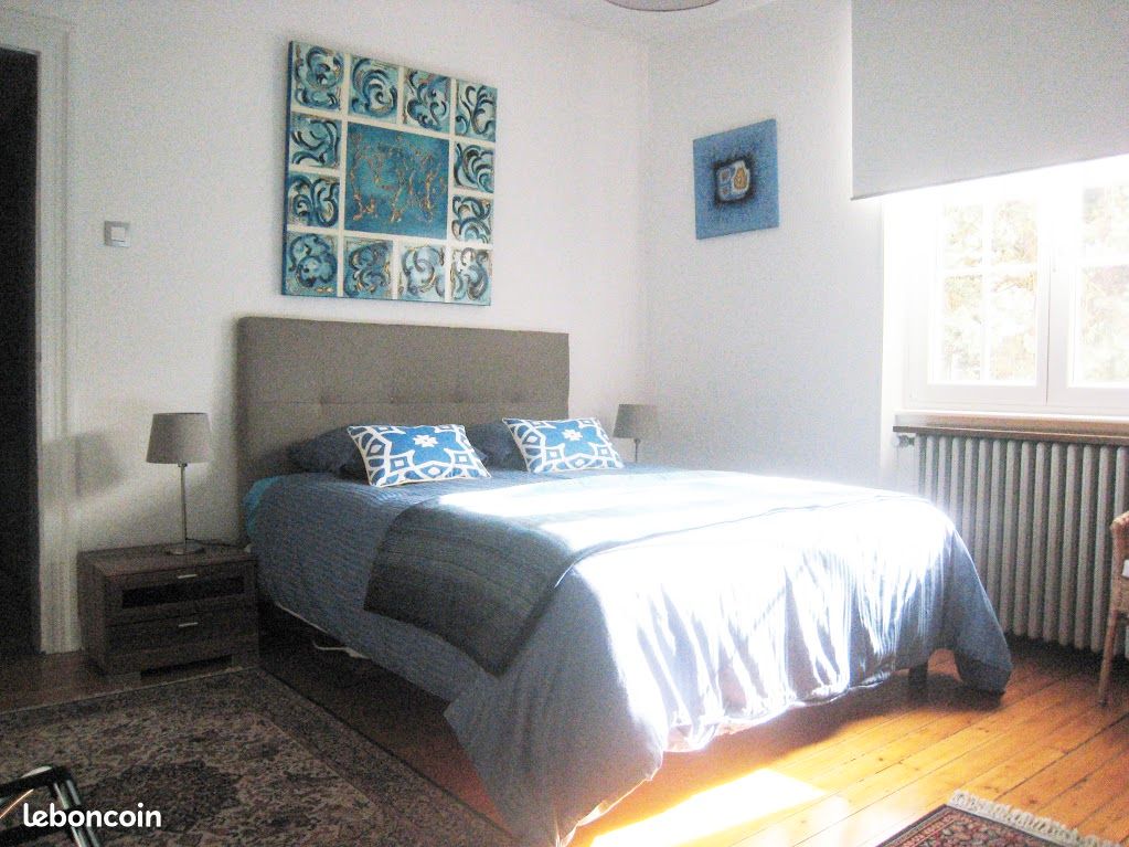 Appartement 130m2 très cosy STRASBOURG ORANGERIE (image 2)
