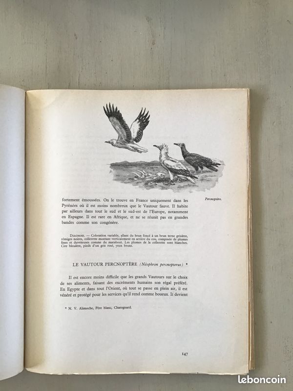 Du héron aux perdrix, de la grive aux rapaces par J.Oberthur (image 6)