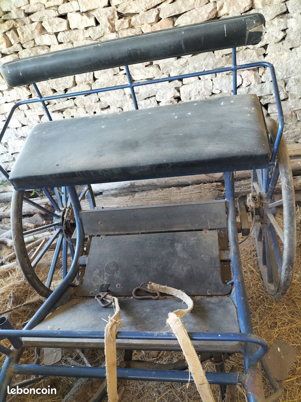 Calèche deux roues cheval (image 3)
