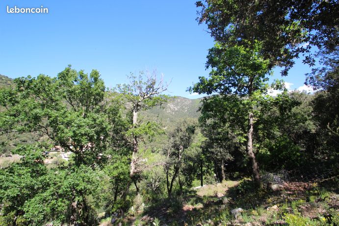 Terrain 1 869 m² Sorede