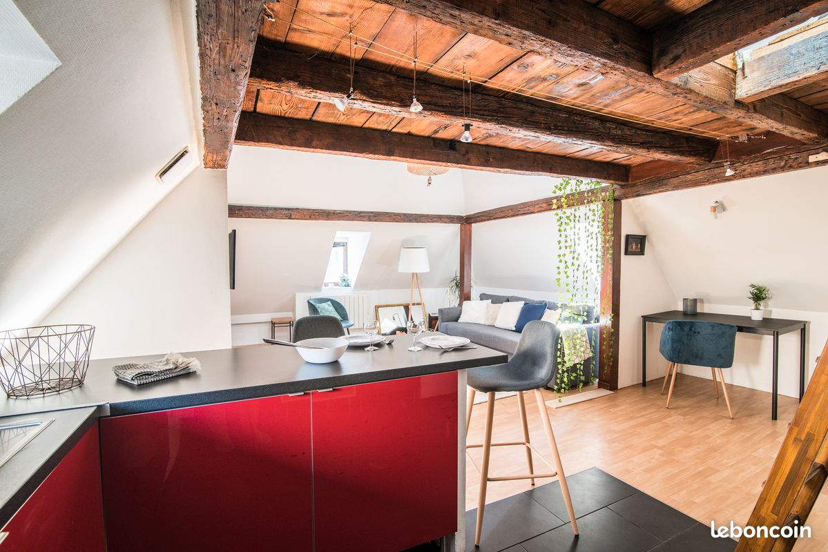 Location Appartement Centre-ville Strasbourg Bail Mobilité La Petite Cathédrale (image 4)