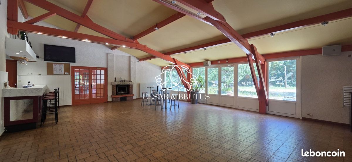 Maison 16 pièces 1023 m² (image 11)