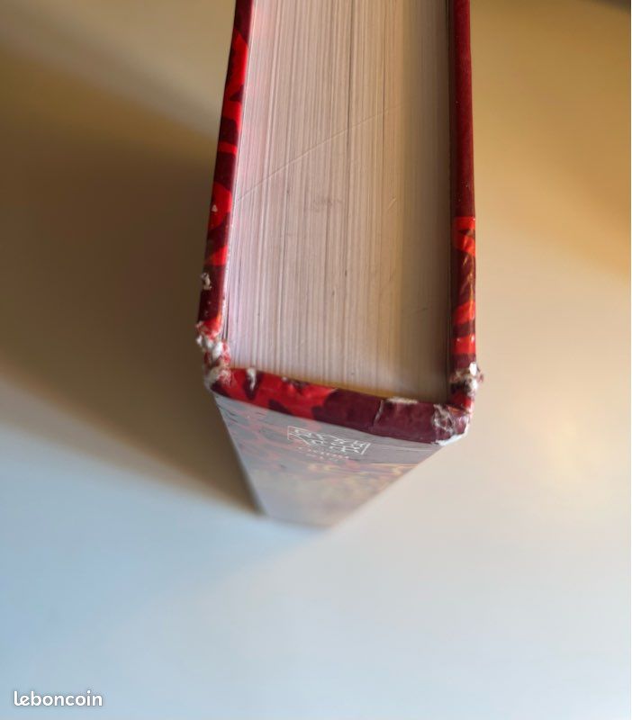 Encyclopedie Du Dim-Mak. Les Points Vitaux Selon La Tradition Chinoise (image 5)