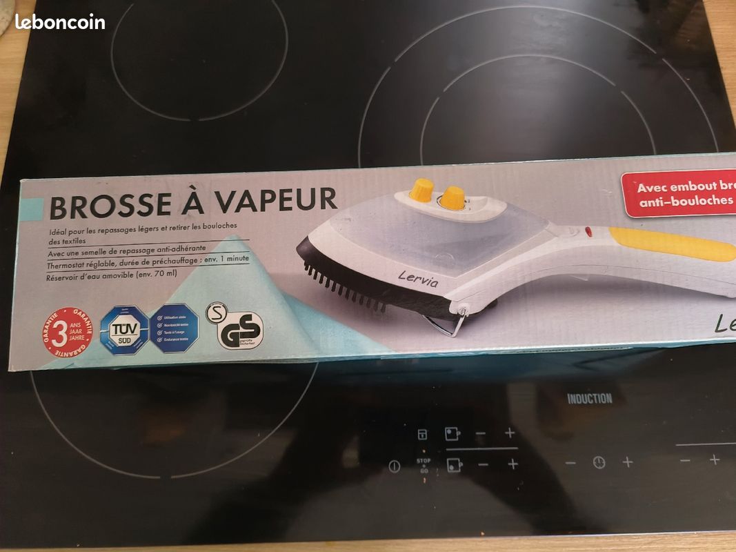 Brosse vapeur textile (image 1)