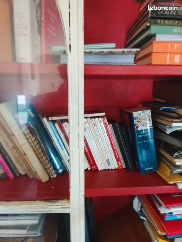 Bibliothèque ancienne bois verre bois peint intérieur rouge 200 cm de hauteur X 125cm de large 4 étagères (image 3)