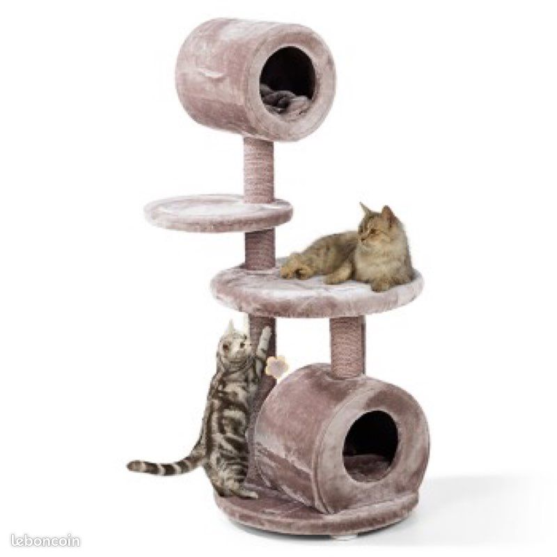 Arbre à chat (image 1)