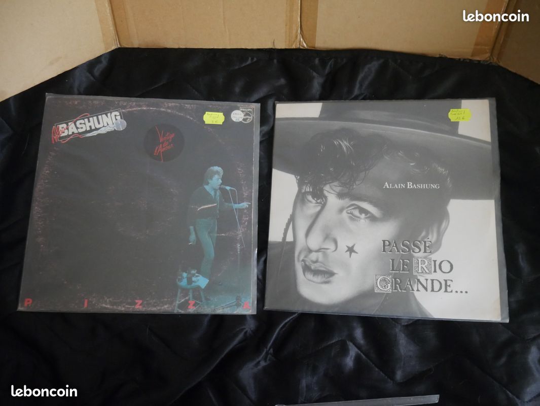 Lot 2 disque vinyl 33t alain bashung (image 1)