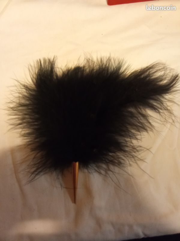 Objet inconnu, accessoire de mode ? (image 1)