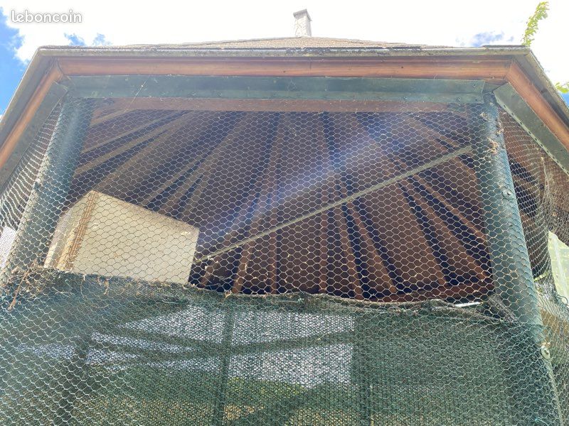 Pigeonnier en fer forgé (image 3)