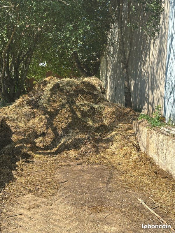 Donc fumier de cheval (image 1)