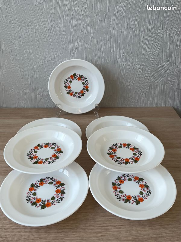 Ensemble de 6 assiettes creuses octogonales Arcopal modèle Anaïs en