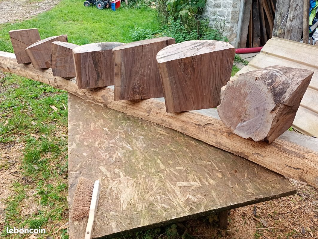 Bois pour sculpture ou tournage - Aulne, Noyer noir, bois échauffés et autres (image 9)