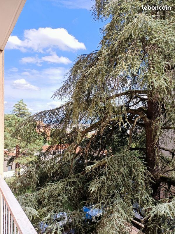 Appartement a louer sainte-foy-les-lyon - Surfyn