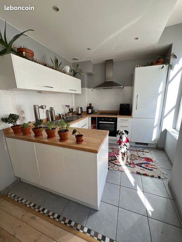 Appartement 2 pièces 50 m² · à Lyon · 50 m² · 1 300 €/mois