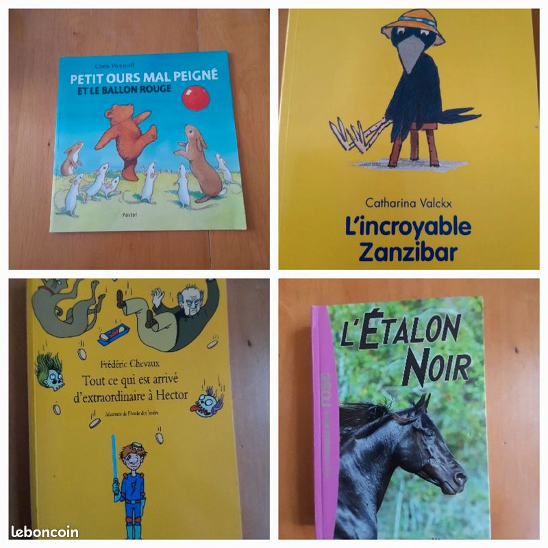 Livres jeunesse (image 6)