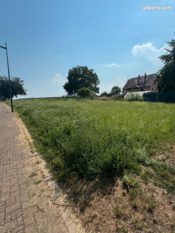 Terrain 500 m² · à Hochfelden · 500 m² · 110 000 €