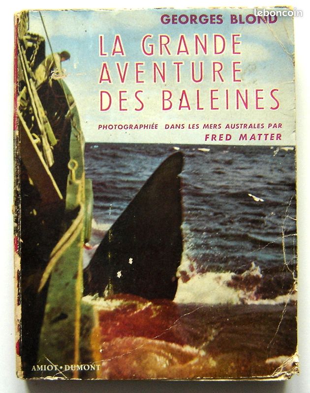 Georges BLOND : LA GRANDE AVENTURE DES BALEINES - 1953 (image 1)