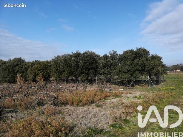 Terrain 1368 m² SAINTE CECILE LES VIGNES