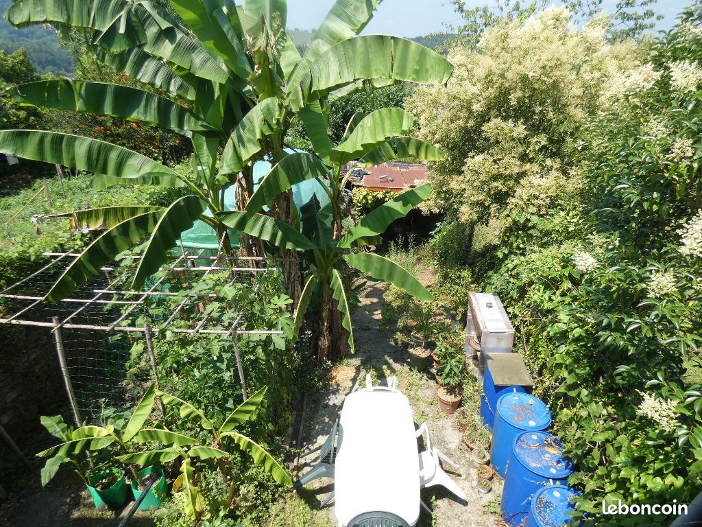 Maison 7 pièces 260 m² - Mauléon-Licharre 64130 (image principale 7)