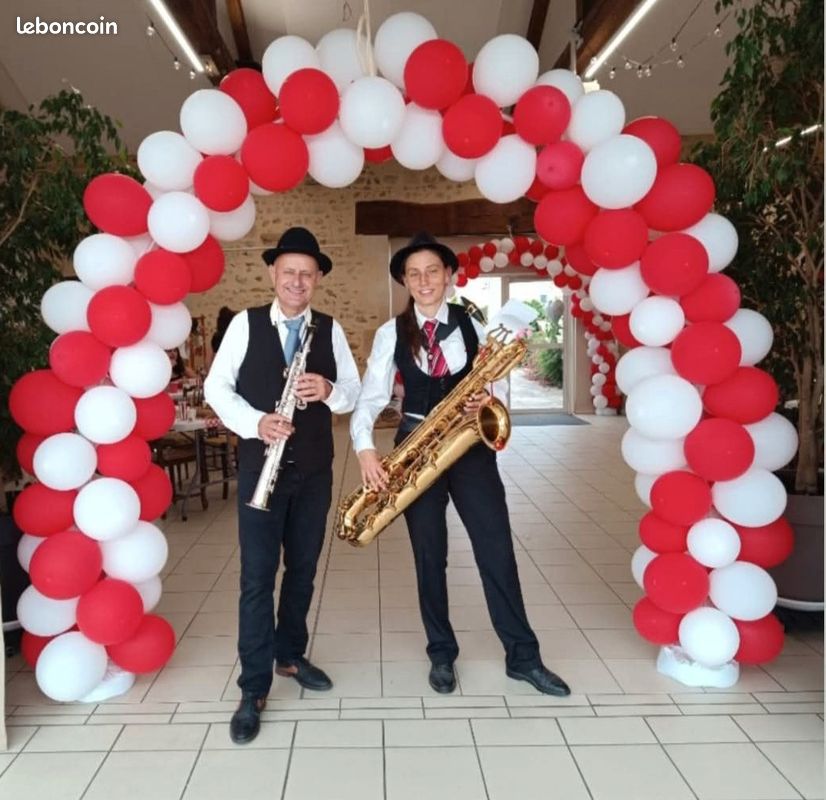 Animation mobile, mariage, événement musical, duo (image 2)