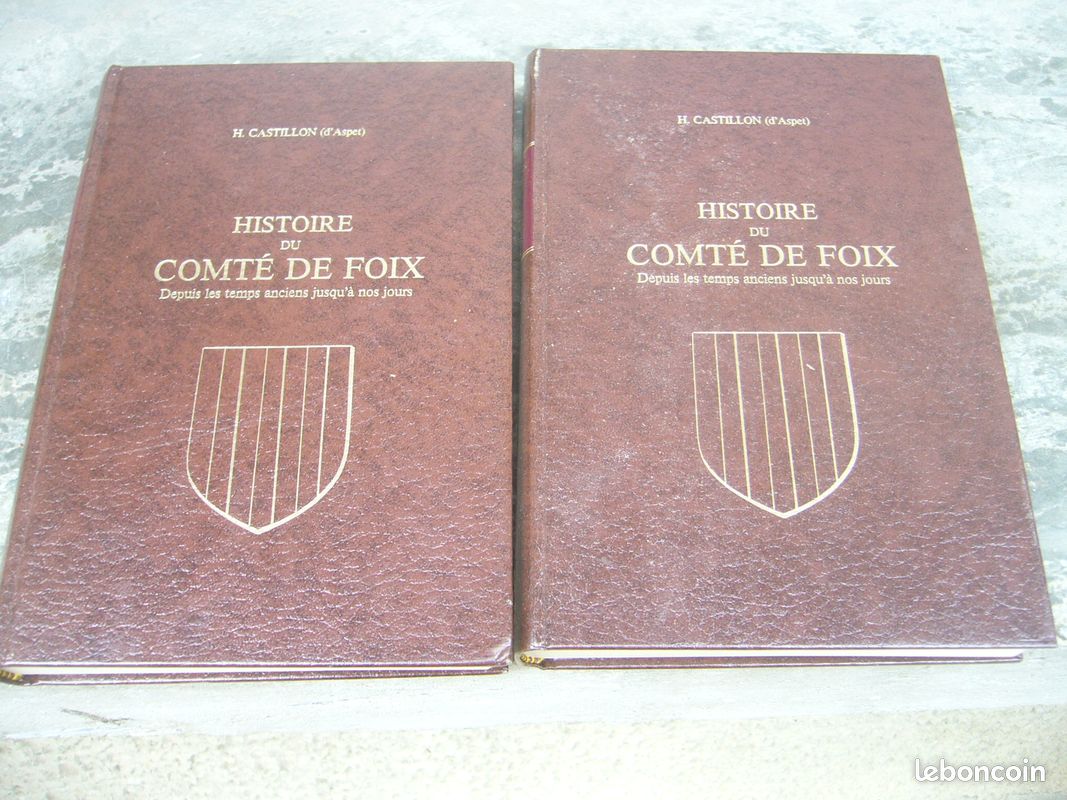 Histoire du comte de foix/castillon d'aspet/lafitte reprints (image 1)