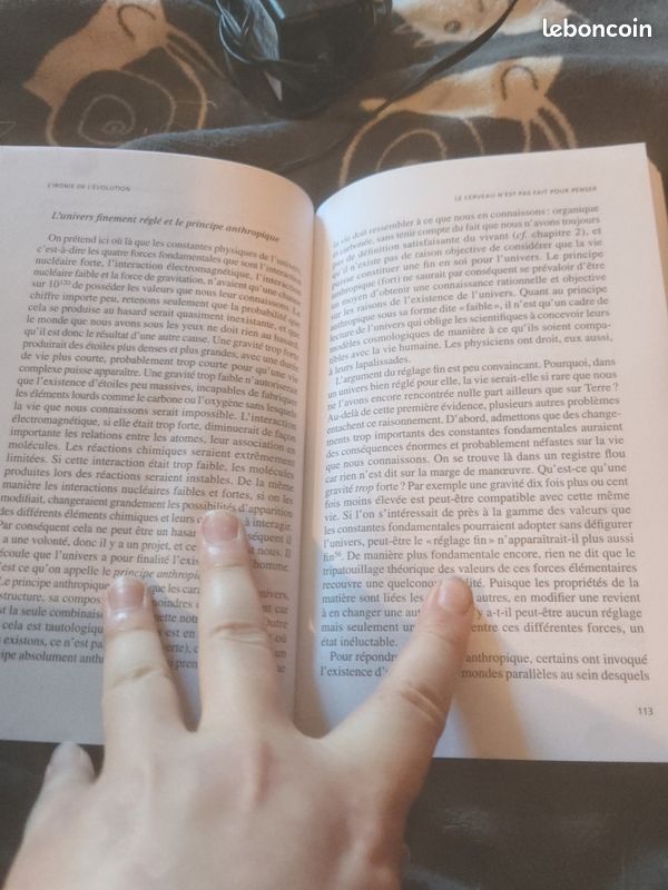 L'ironie de l'évolution la tronche en biais (image 3)